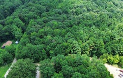 3.5 Acres Wilderness Way, Athens, AL 35614