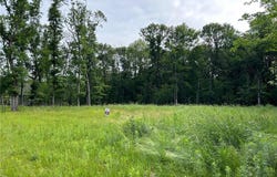 14775 Stutz Street NE, Ham Lake, MN 55304