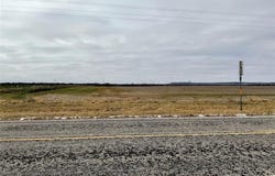 Tba FM 2405, Ovalo, TX 79541
