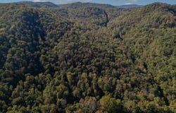 Bluestone River Rd, JUMPING BRANCH, WV 25951