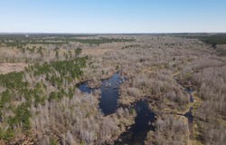 Camden Hwy, Prescott, AR 71875