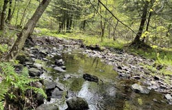 0 miller, Florence, NY 13316