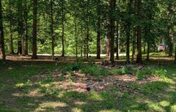 15923 MOUNT EVEREST LN, SILVER SPRING, MD 20906