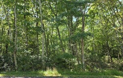 Penn Spring Drive lot: L135, Jim Thorpe, PA 18229