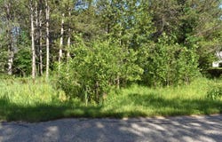 Lot 2 Knights, Gladwin, MI 48624