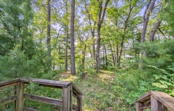 2456 Woodland Lake Dr, Bitely, MI 49309