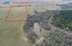 12.35 Acres Lot 13 HWY 30, Bedias, TX 77831