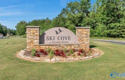50 Pruett Circle, Scottsboro, AL 35769