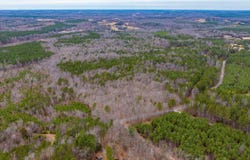 LOT 3 PINEY GREEN RD, CREWE, VA 23930