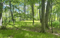 0 Struthers Road, Grass Lake, MI 49240
