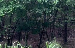605-00020-000 MC 8020, Yellville, AR 72687