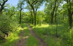 TBD COUNTY ROAD 424, May, TX 76857