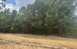 00 Joshua Road, McHenry, MS 39561