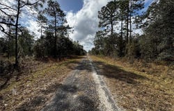 SE 133RD AVENUE, DUNNELLON, FL 34431