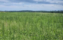 503 W NORTH ROAD, Cadott, WI 54727