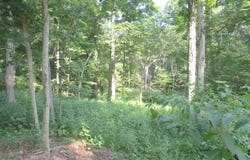 7793 Howard Prince Drive, Nineveh, IN 46164