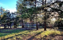225 Badger Trail, Ridgway, CO 81432