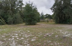 SHEELER OAKS DRIVE, APOPKA, FL 32703