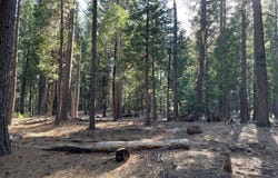Sierra Parkway, Camp Connell, CA 95223