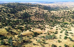 0 No Address, Friant, CA 93626