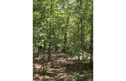 1215 Red Bird  LN, Horseshoe Bend, AR 72512
