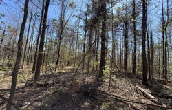 N Circle Road, Lexington, MS 39095