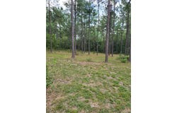 373312 CR 3160, Colmesneil, TX 75938