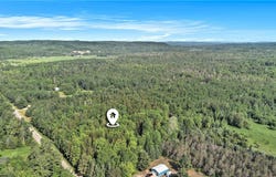 TBD Old State Road, East Jordan, MI 49727