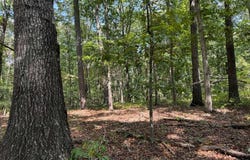 348 Pat Rich, Canton, GA 30115