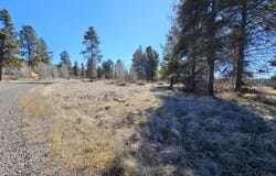 Longhorn Loop, Chiloquin, OR 97624