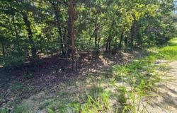 L-1,2,3, B-19 Nicatouse Drive, Cherokee Village, AR 72529