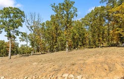 Lot 22 Restore Ridge, Harrison, AR 72601
