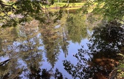 3754 Victor Drive, Indian River, MI 49749