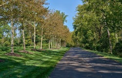 102 PINTAIL Point, NEW HOPE, PA 18938