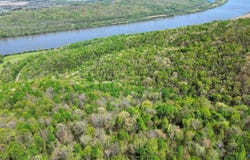 40 Acres County Road 414, Flat Rock, AL 35966