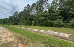 0 Dead Lake Rd., Creola, AL 36525