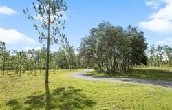 6490 SE 138TH AVENUE, MORRISTON, FL 32668
