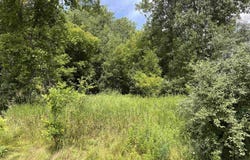 Lot 10 McDonald Drive, Mt Pleasant, MI 48858