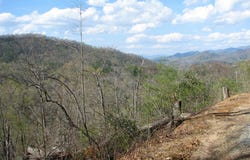 Lot 18 Wynngate, Dillard, GA 30537