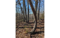 1422 Hanna Drive, Ranger, GA 30734