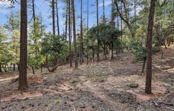 98 Trails End Drive lot: 98, Pine, AZ 85544