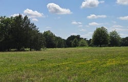 12077 County Road 1200, Malakoff, TX 75148