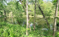 104A Adams Drive, Pangburn, AR 72121