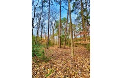 TBD (Lot 59) County Road 1060, Center, TX 75935