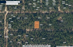 DELAWARE Terrace, Interlachen, FL 32148