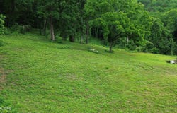 550 N 13th St, LaFollette, TN 37766