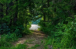 River Pointe Drive lot: 19, Cedar Bluff, AL 35959