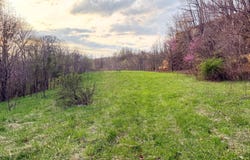 1774 Jessie Creek Road, Bidwell, OH 45614