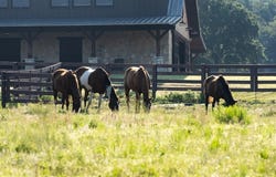 854 County Road 4155, Clifton, TX 76634