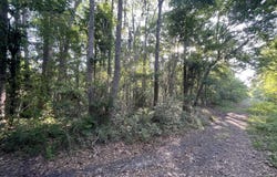 24+ac Liz Moody, St. Marys, GA 31558